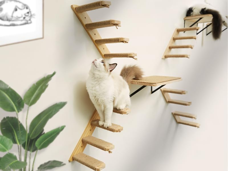 PELUMOZ cat climbing shelves wall-mounted, providing a higher exercise and viewing spot.