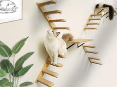 PELUMOZ cat climbing shelves wall-mounted, providing a higher exercise and viewing spot.