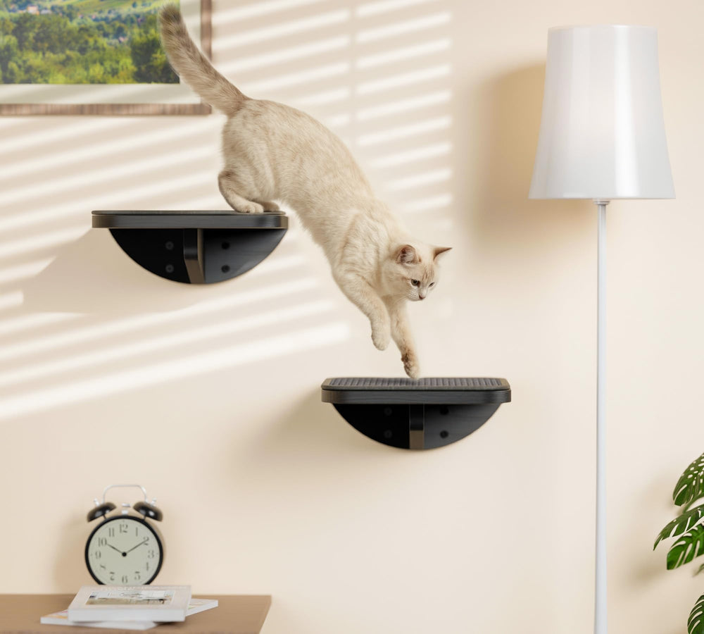 PELUMOZ eco-friendly materials emphasize sustainable cat furniture