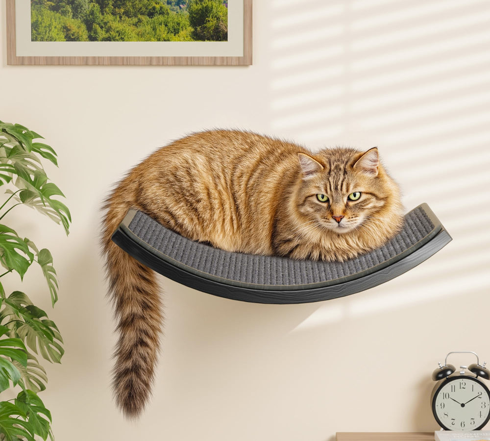 PELUMOZ multi-cat layout illustrating elevated lounging and play