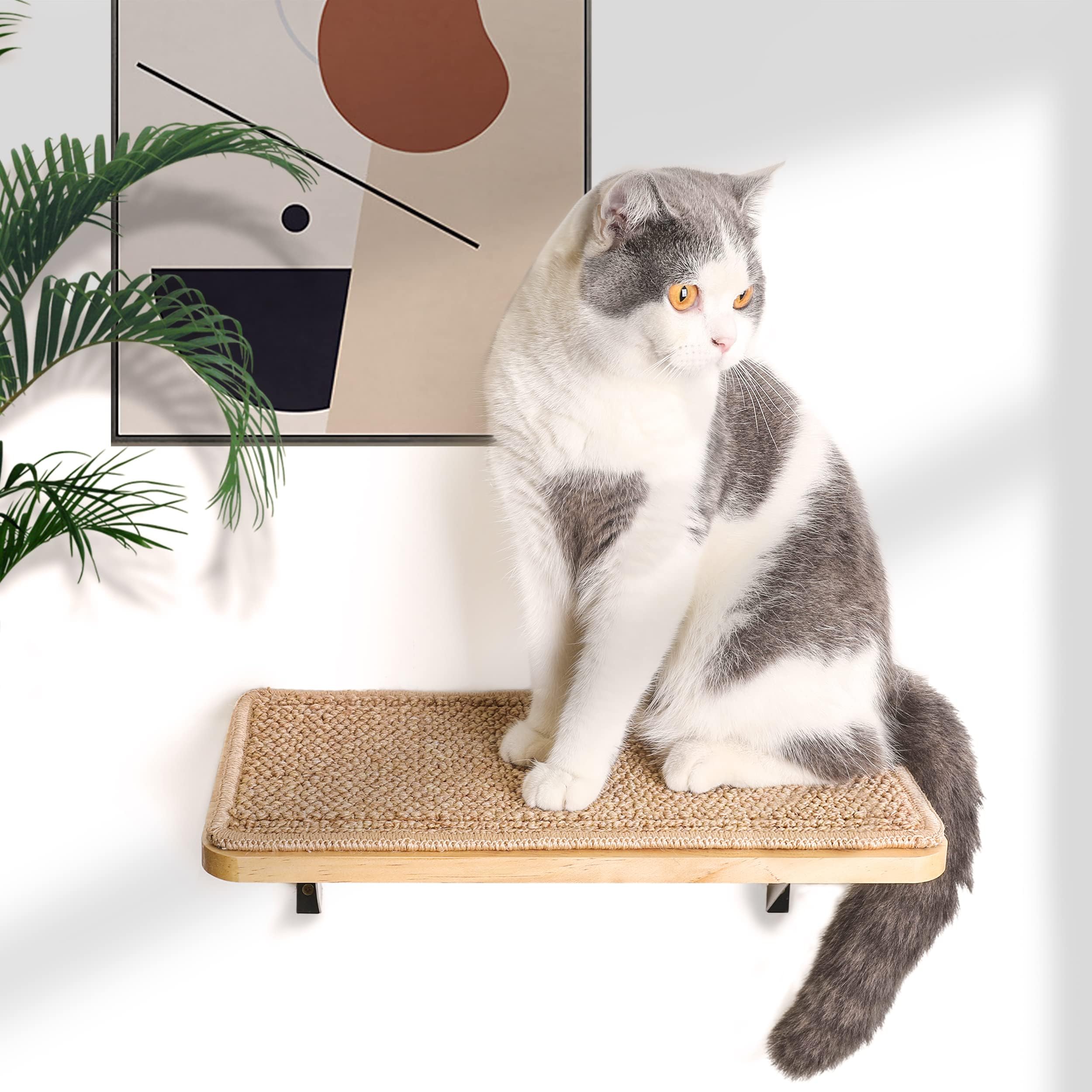 PELUMOZ cat wall shelf floating provides extra climbing space for cats.