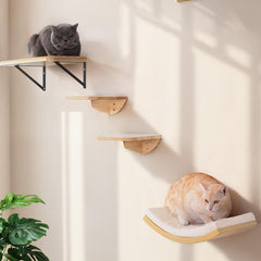PEL UOMOZ cat wall shelf window perch assembly for space-saving vertical fun