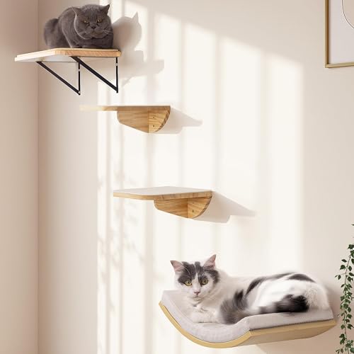 PELUMOZ curved lounger in natural wood for spine-supporting cat naps