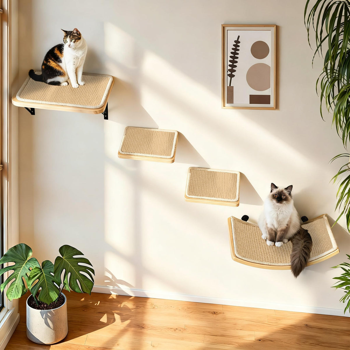PELUMOZ cat-wall-shelves curved-nest showcases a comfy resting nook for relaxed naps.