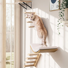 PELUMOZ cat wall shelves curved nest—cozy elevated rest for cats.