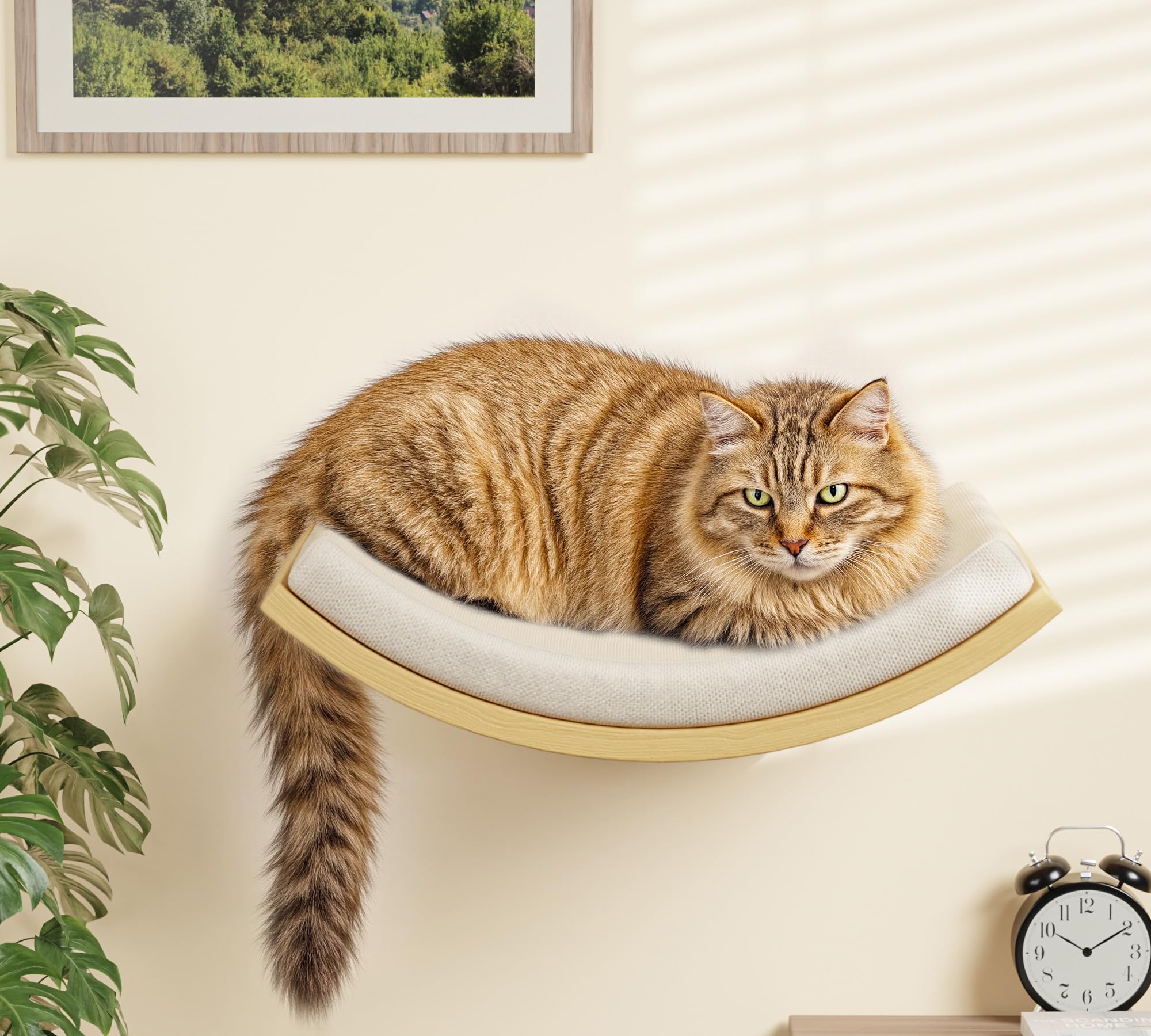 PELUMOZ cat wall shelves installation tools—easy setup and prep.