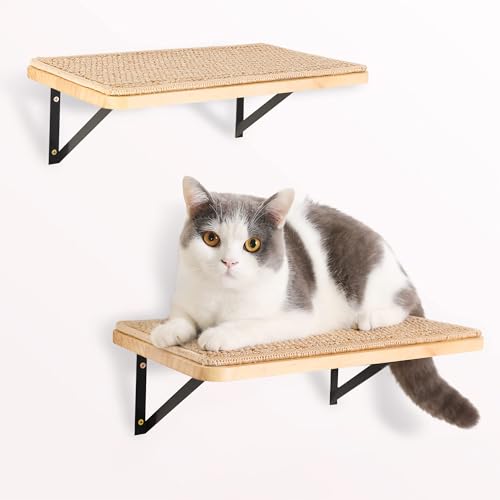 PELUMOZ cat wall shelves assembly demonstrates a space-saving wall setup for play and rest.