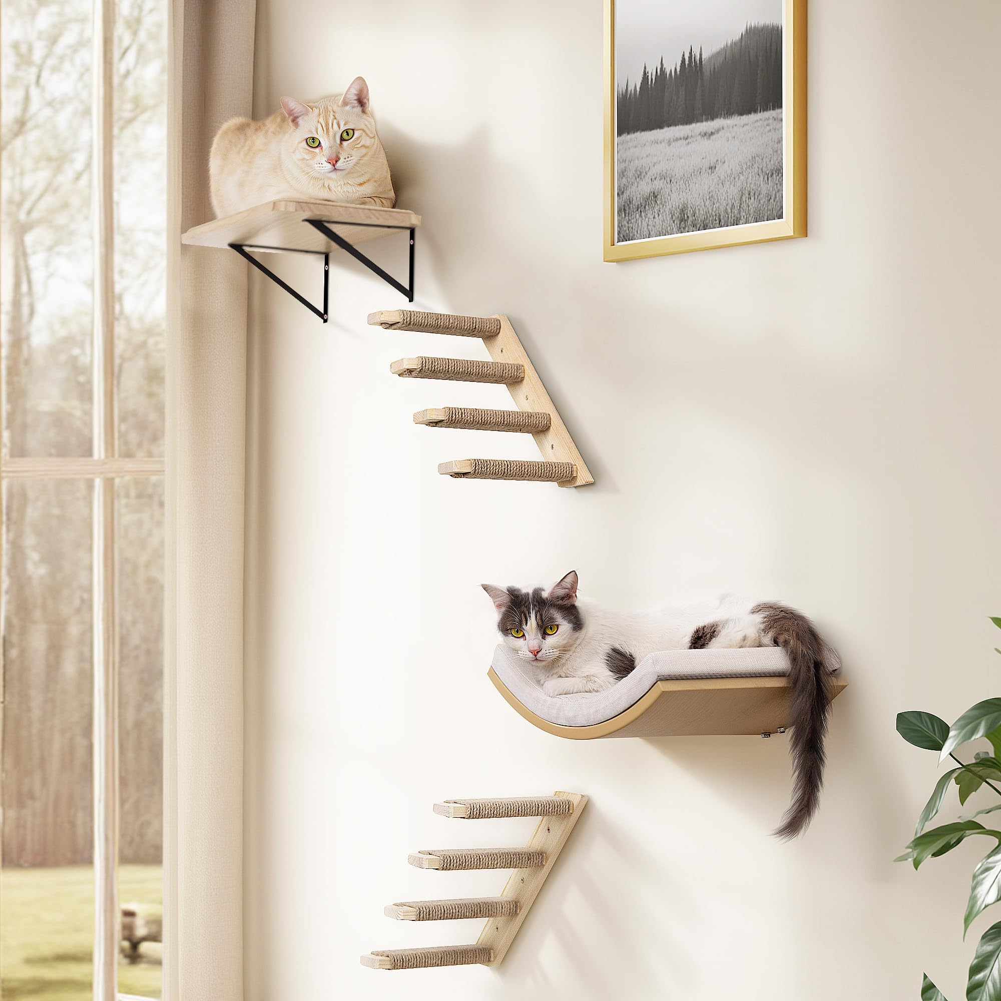 PELUMOZ cat wall shelves solid pine—durable natural wood.