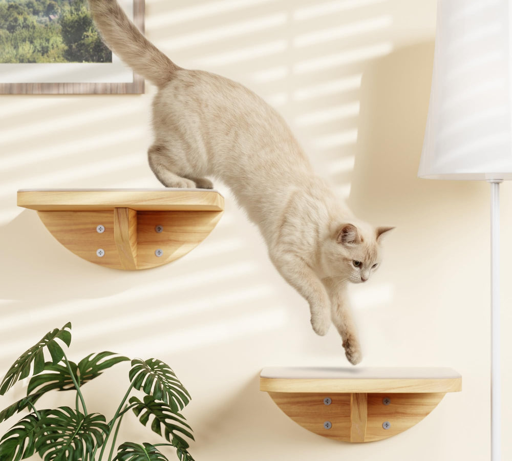 PELUMOZ space-saving layout enhances room aesthetics and pet enrichment