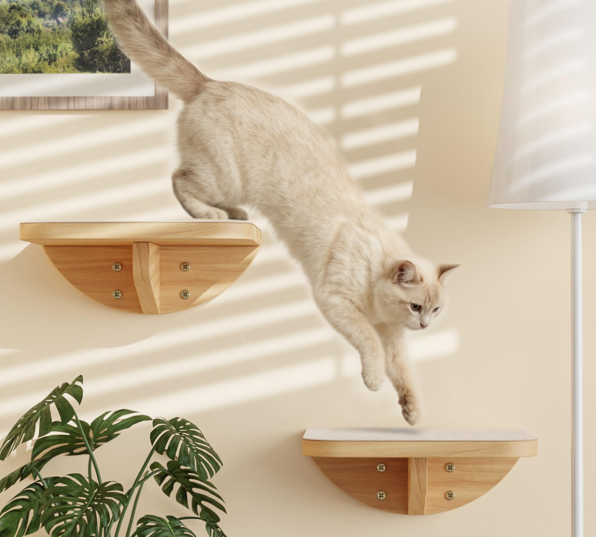 peluomoz cat napping on curved nest during playtime