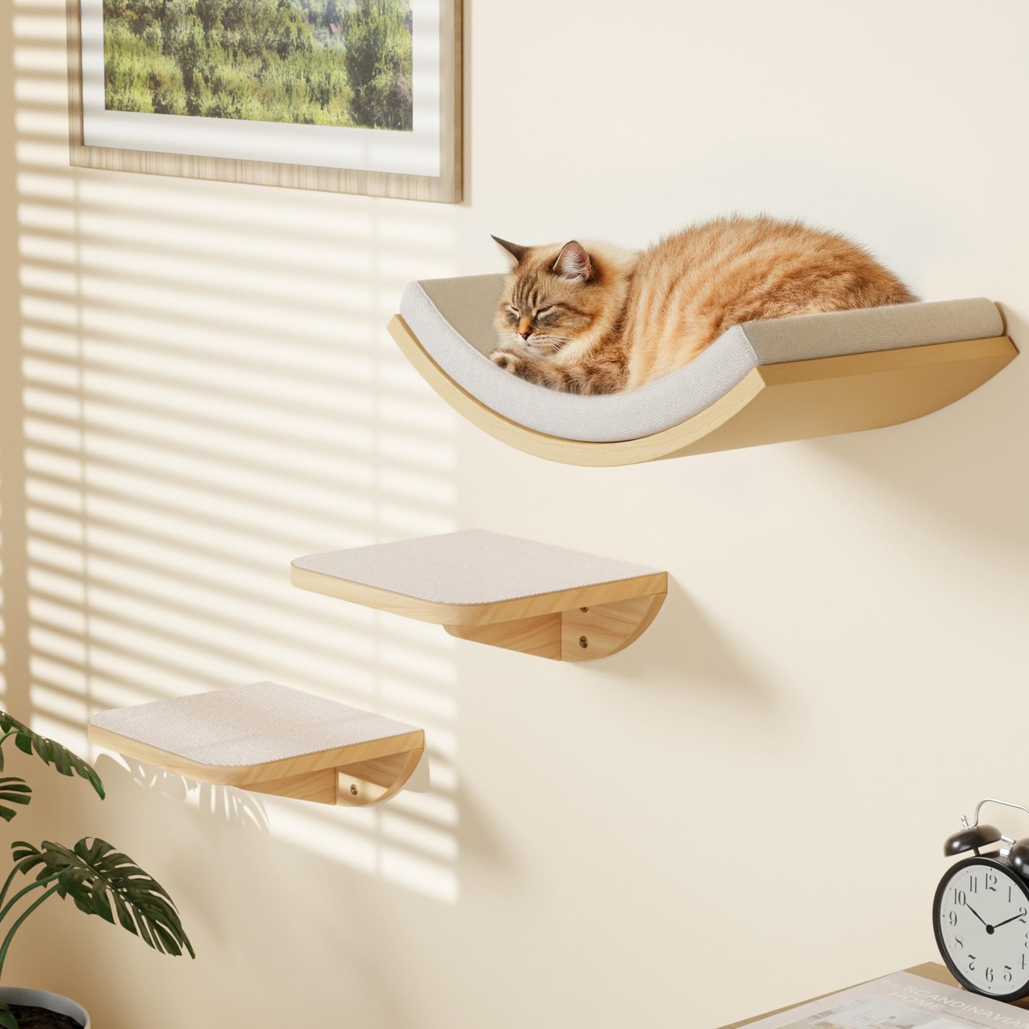 peluomoz curved nest cat-window-perches cozy lounging on beige wall