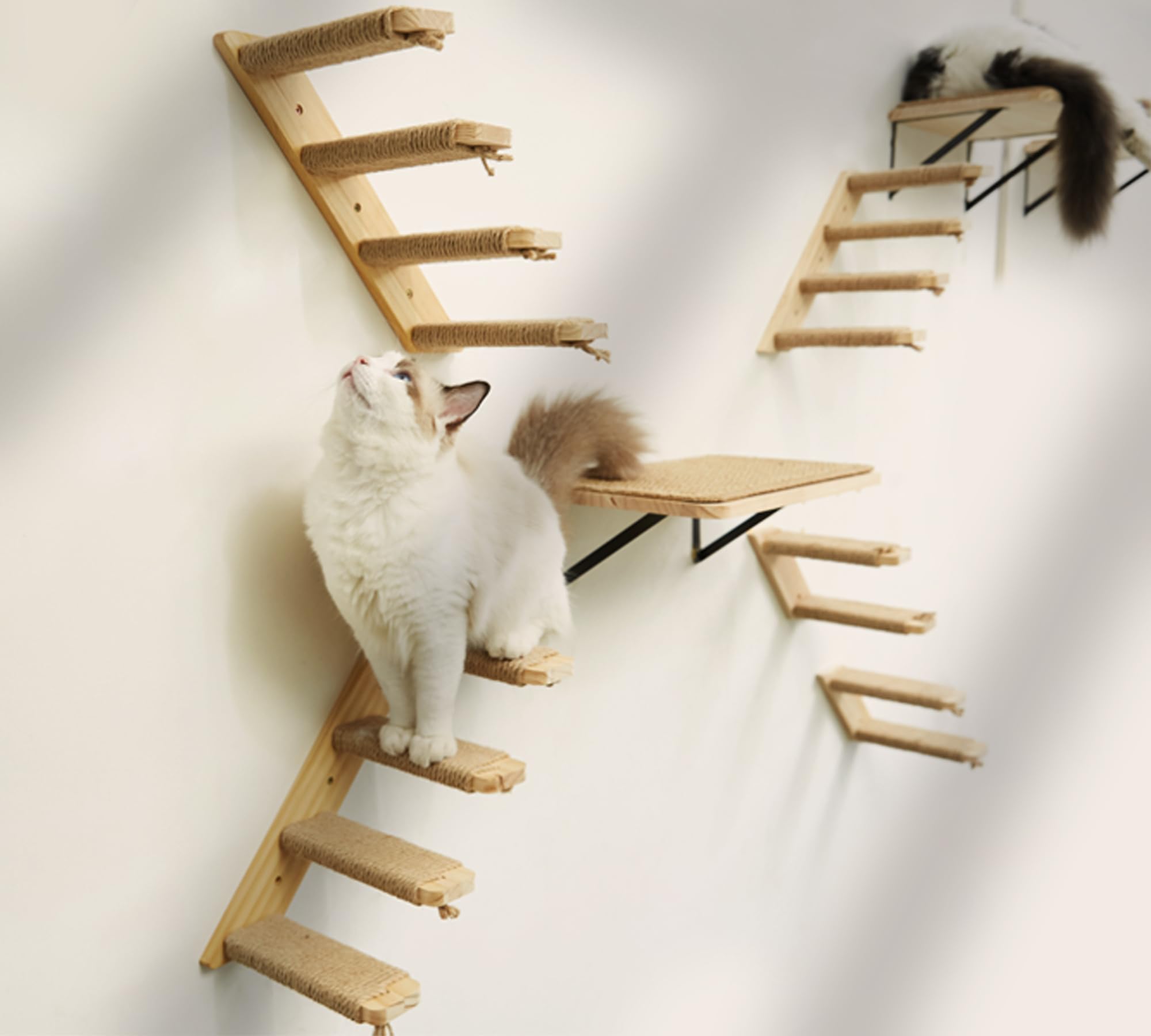 PEL UOMOZ complete cat playground packaging shows clear setup and play value.