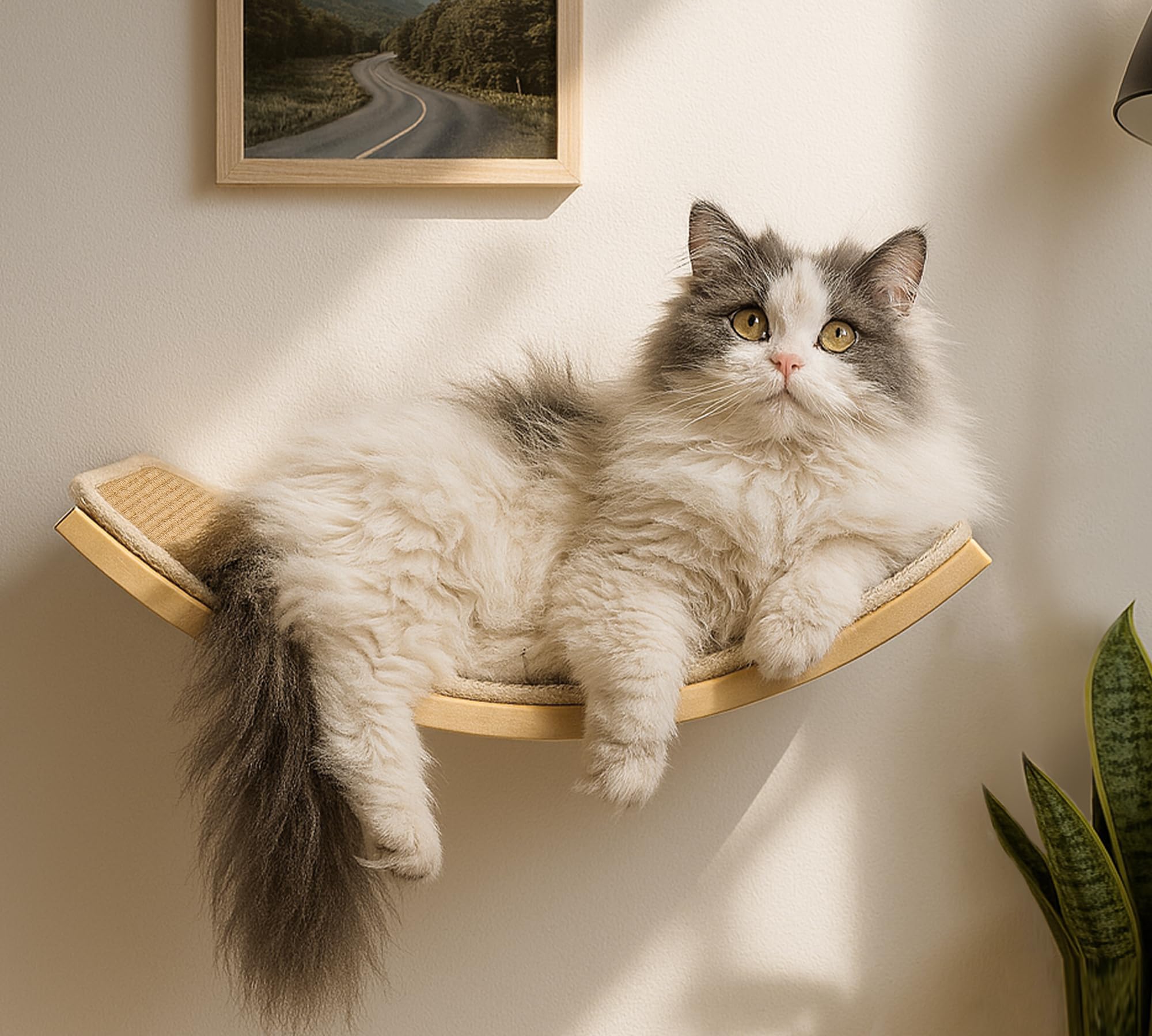 PELUMOZ curved cat wall hammock arc lounge view—elevated comfort for relaxed naps