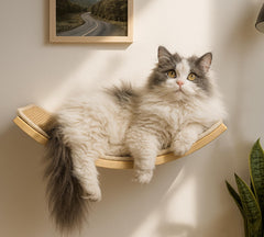 PELUMOZ curved cat wall hammock arc lounge view—elevated comfort for relaxed naps