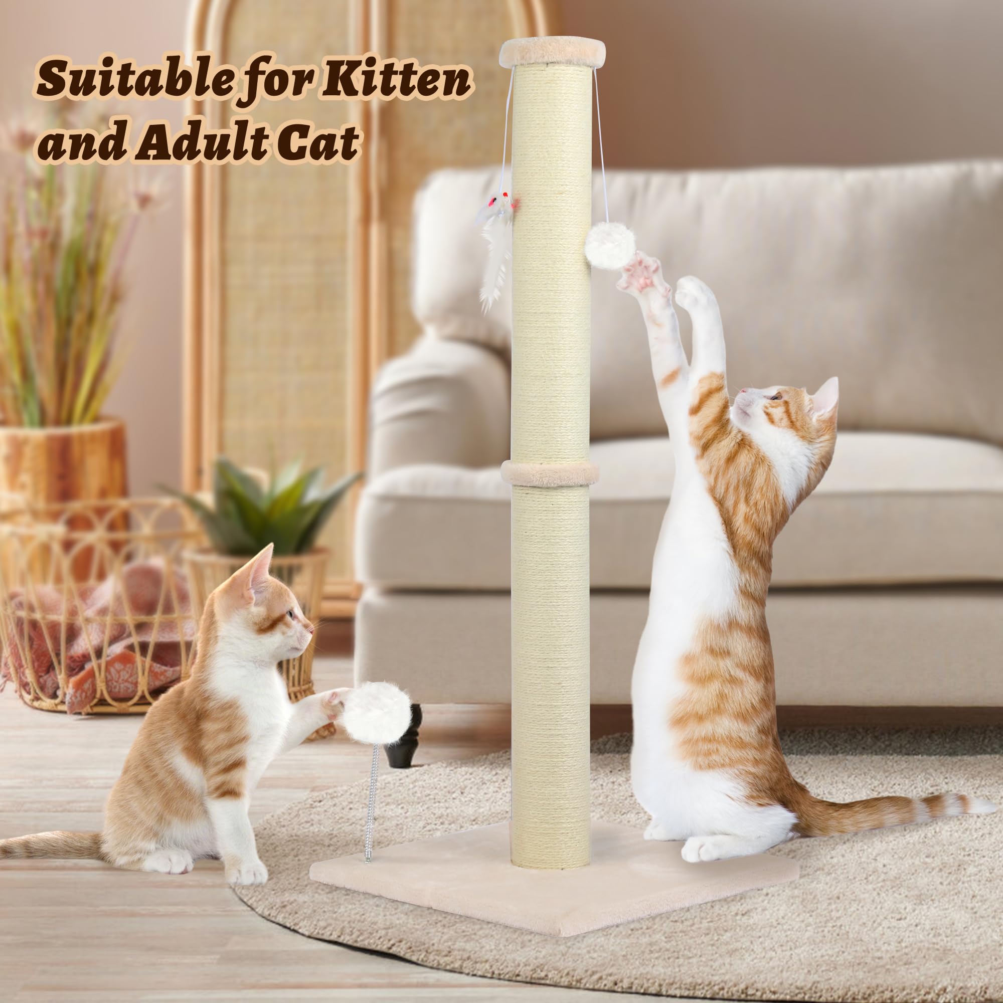 PELUMOZ dummy-mouse and bell-ball cat toy for engagement.