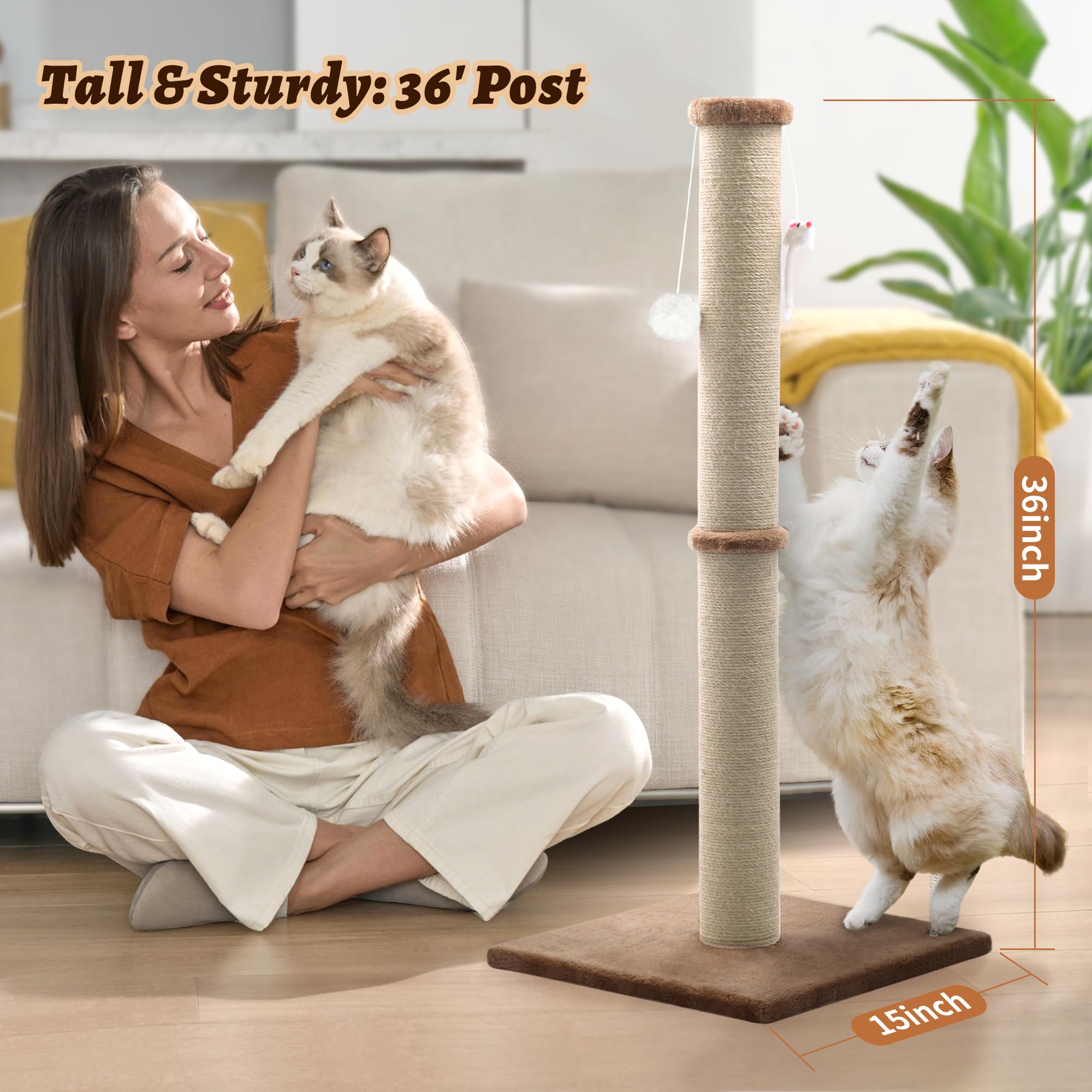 The PELUOMOZ easy assembly tools enable quick setup for immediate use.
