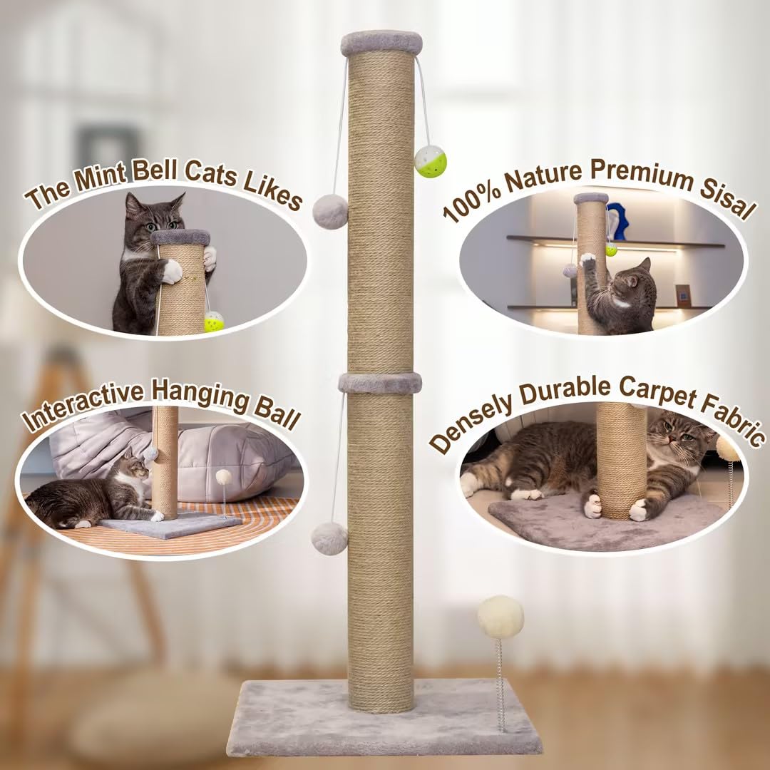 PELUMOZ interactive cat toy enhances daily exercise and exploration