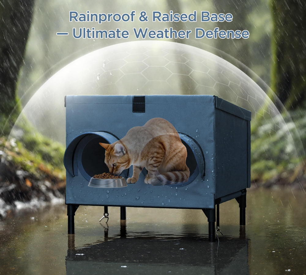 PELUMOZ outdoor cat feeding shelter navy back view emphasizes wind-resistant, stable design.
