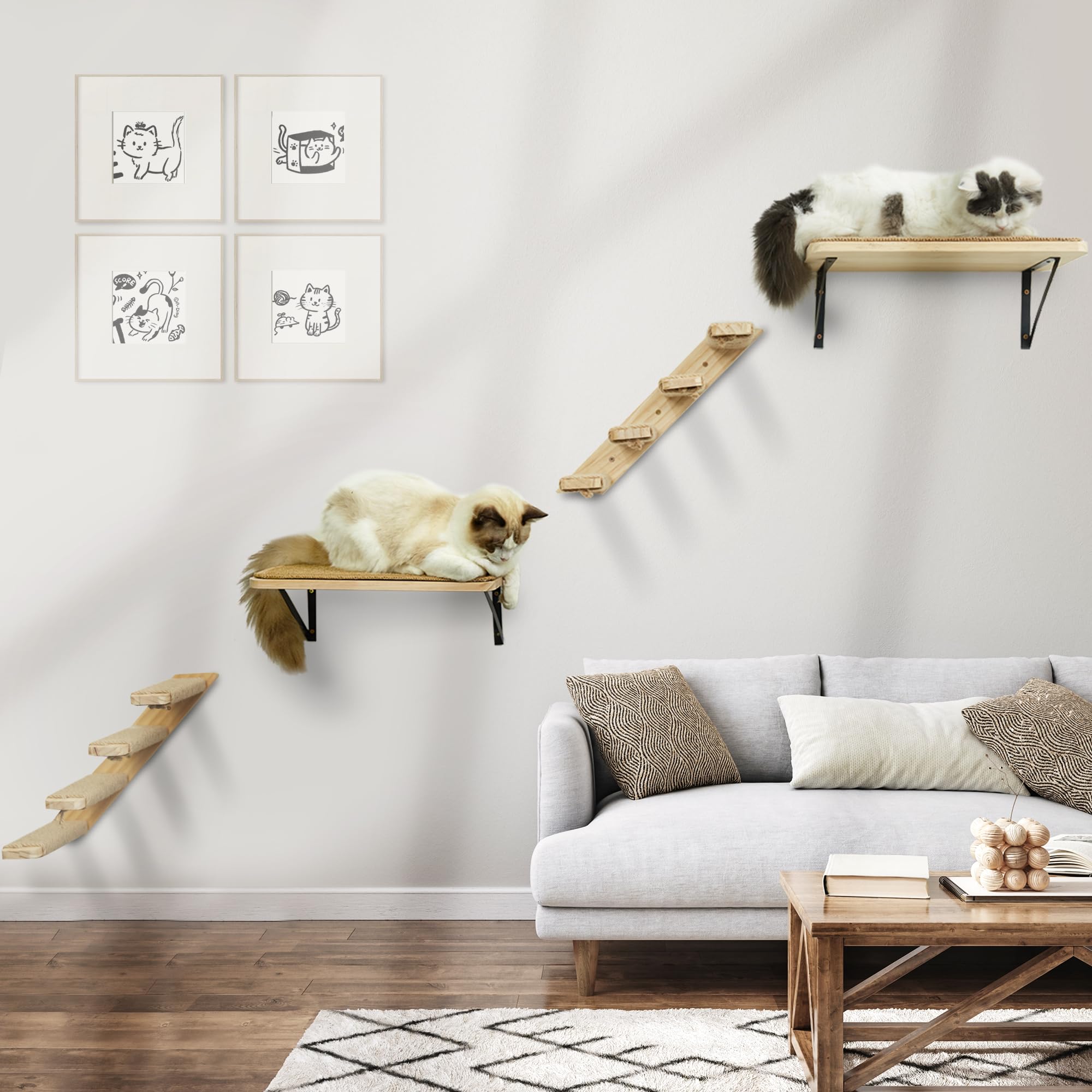 peluomoz space-saving design transforms corner into cat-friendly playground