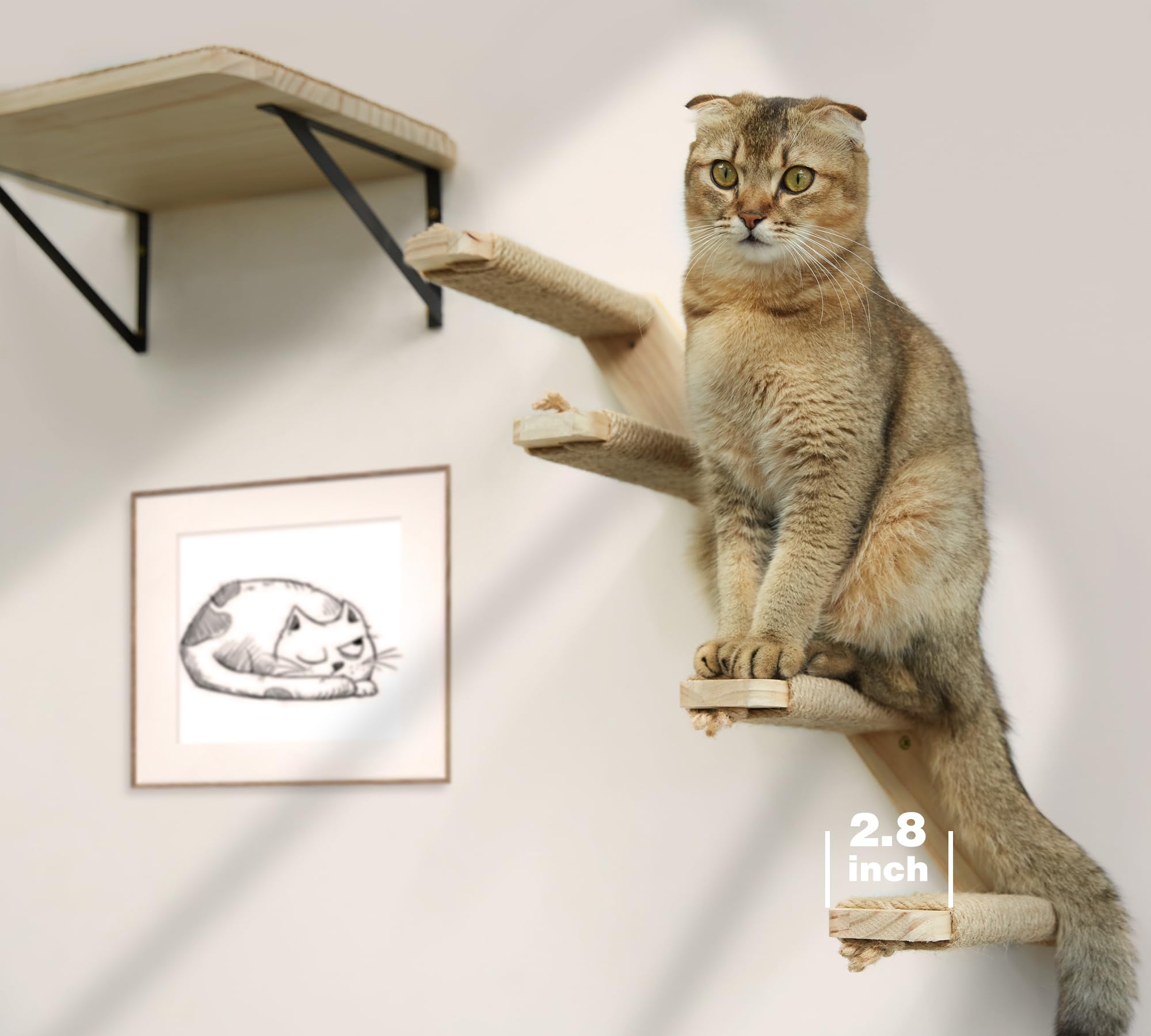 PEL UMOZ space-saving wall perch keeps cat furniture tidy