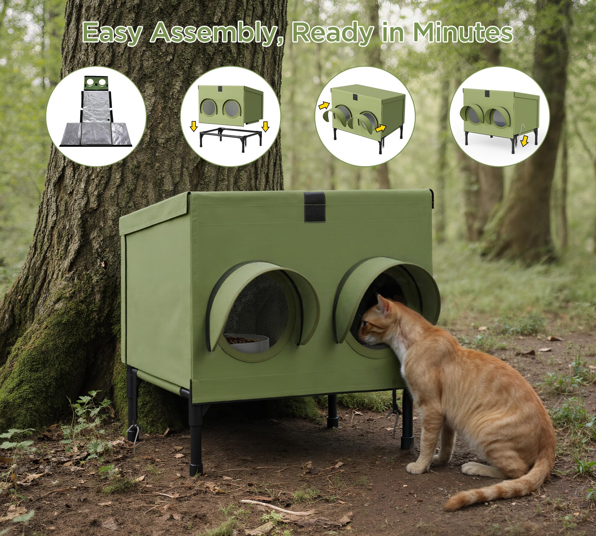 peluomoz spacious-interior picture highlights room for bowls and multiple felines.