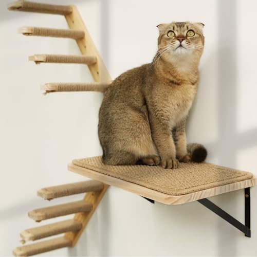PELUMOZ strong cat shelves wall-mounted perch for climbing and lounging