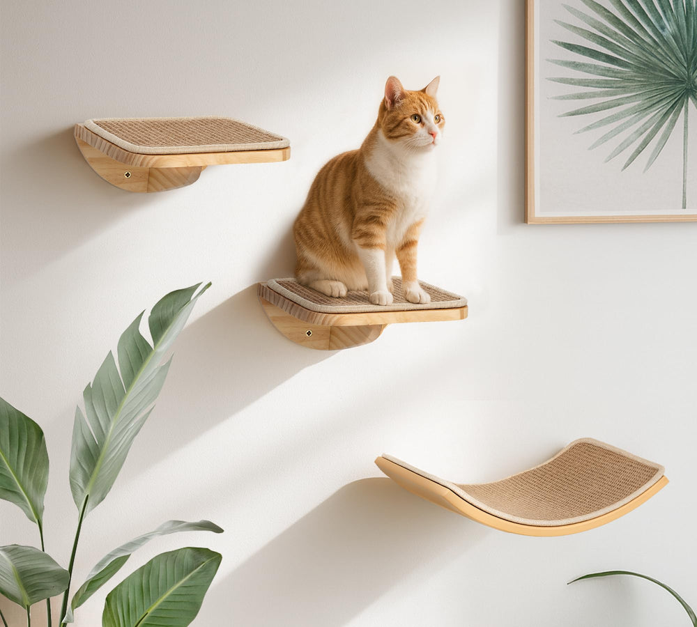 PELUMOZ shelves offer climbing and resting spots for independent cat exploration
