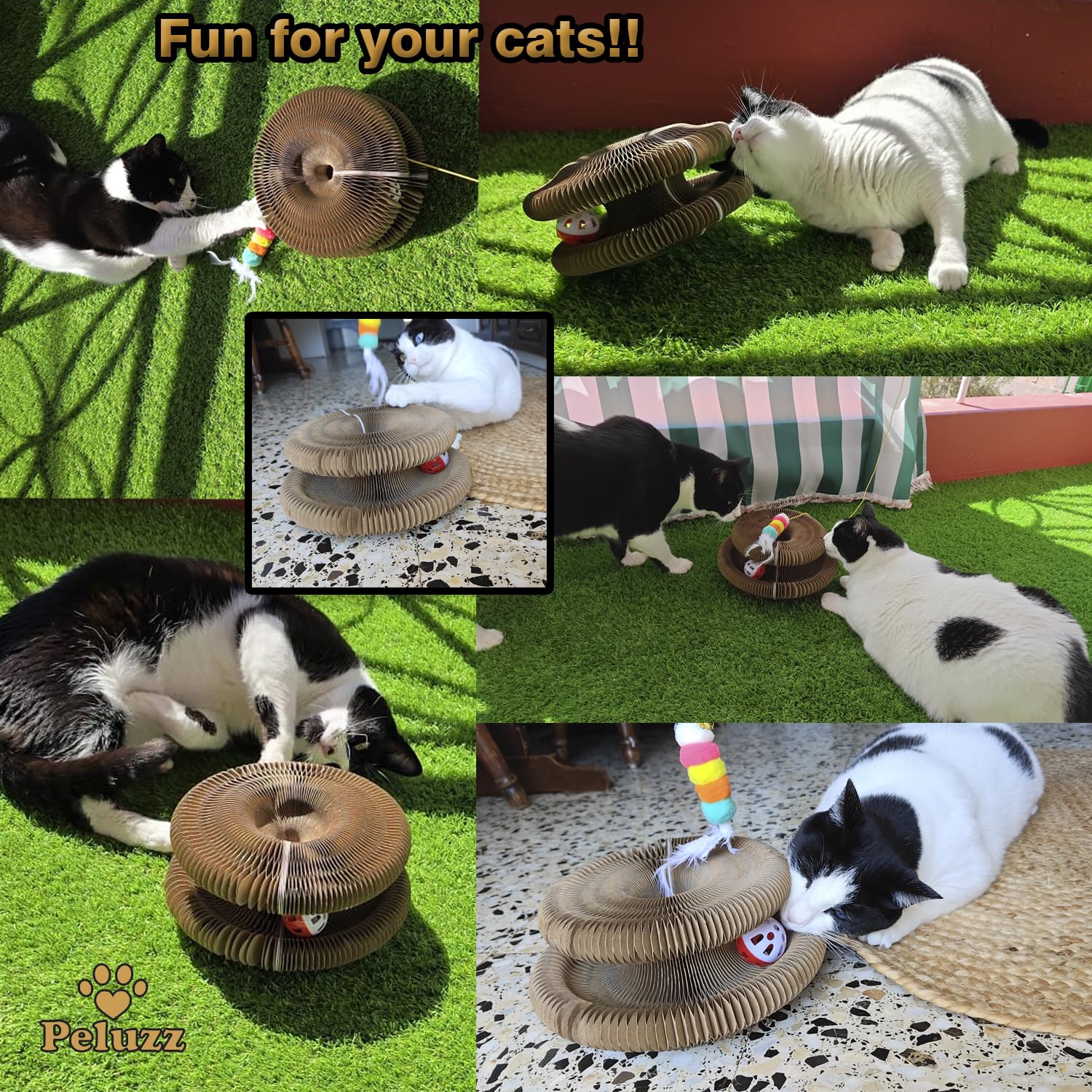 Peluzz Kitty Curls catnip ball emphasizes scent attraction for faster interest