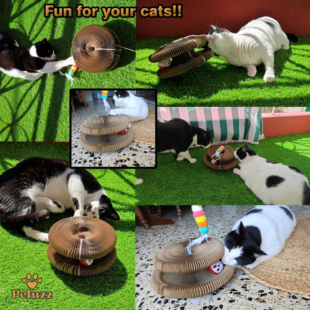 Peluzz Kitty Curls catnip ball emphasizes scent attraction for faster interest