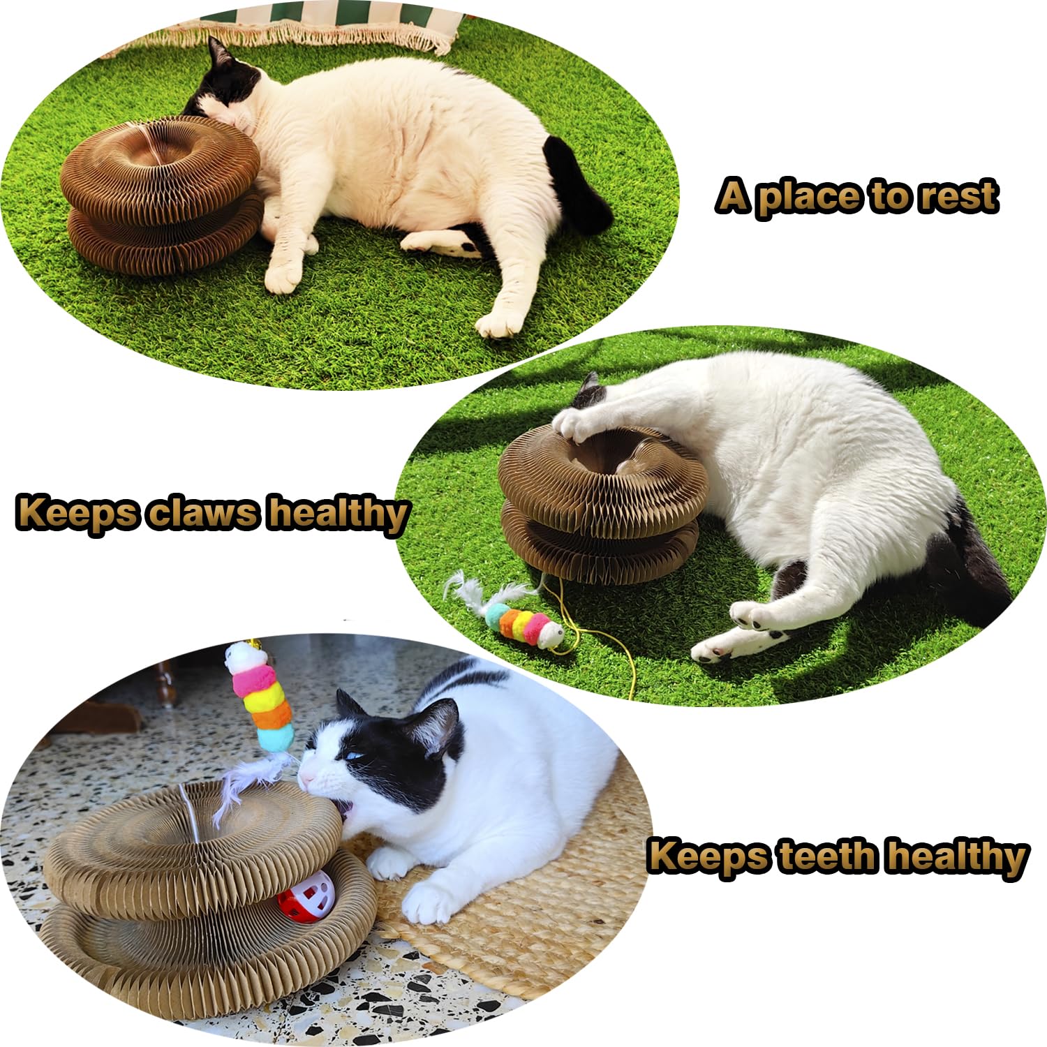 Peluzz Kitty Curls kicker toy demonstrates added lure for hesitant cats
