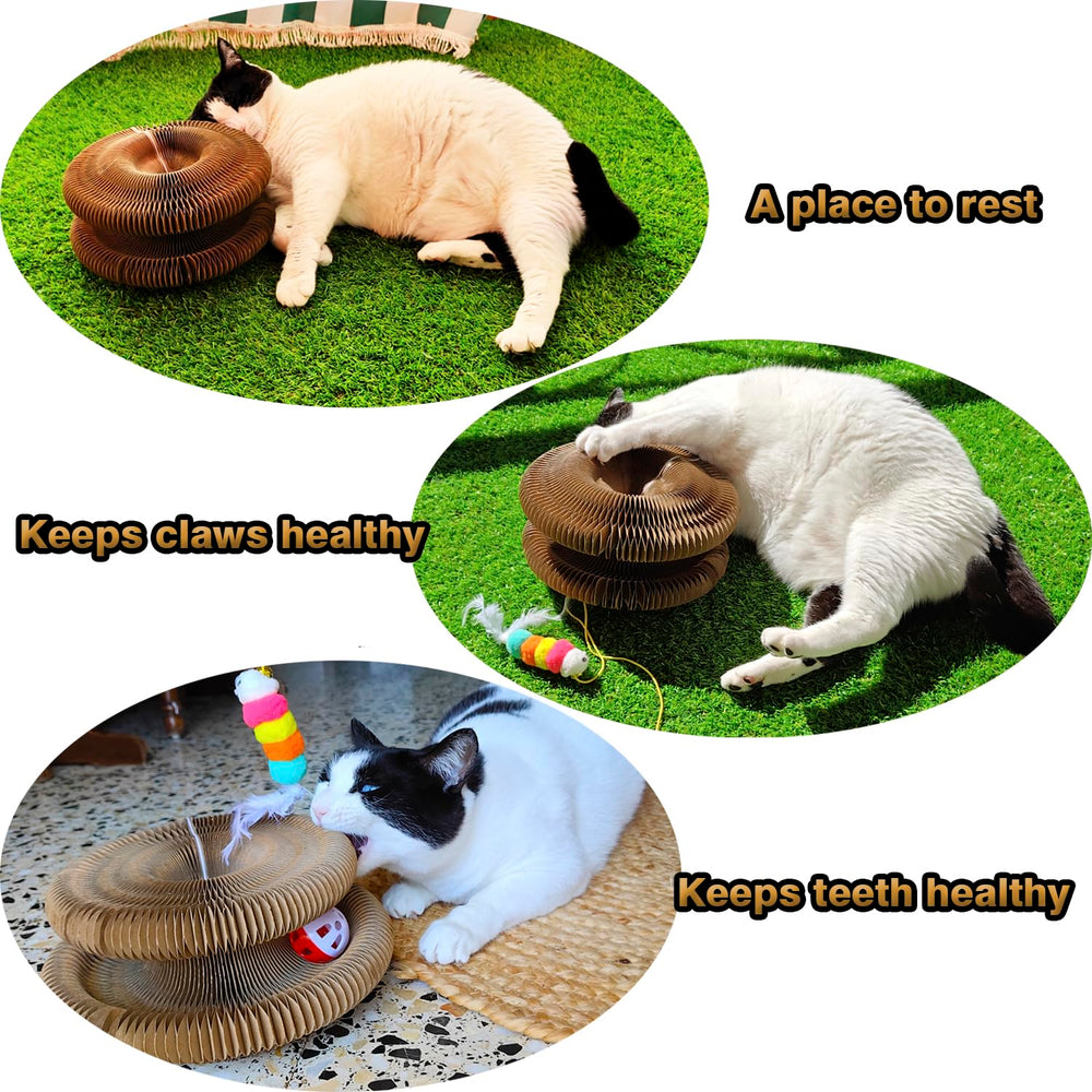 Peluzz Kitty Curls kicker toy demonstrates added lure for hesitant cats