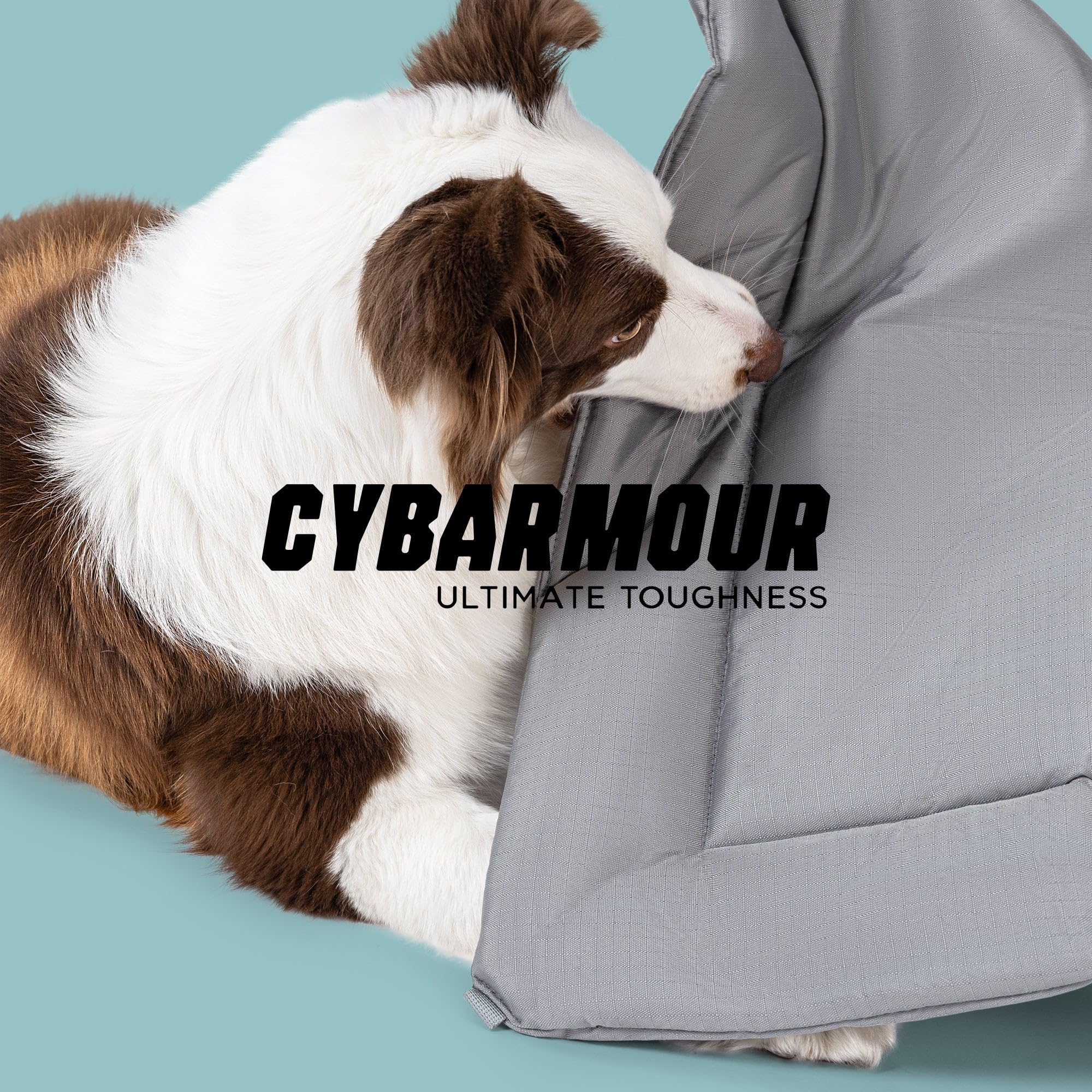 PELZIN Cybarmour outdoor cooling mat stays cool during playtime.