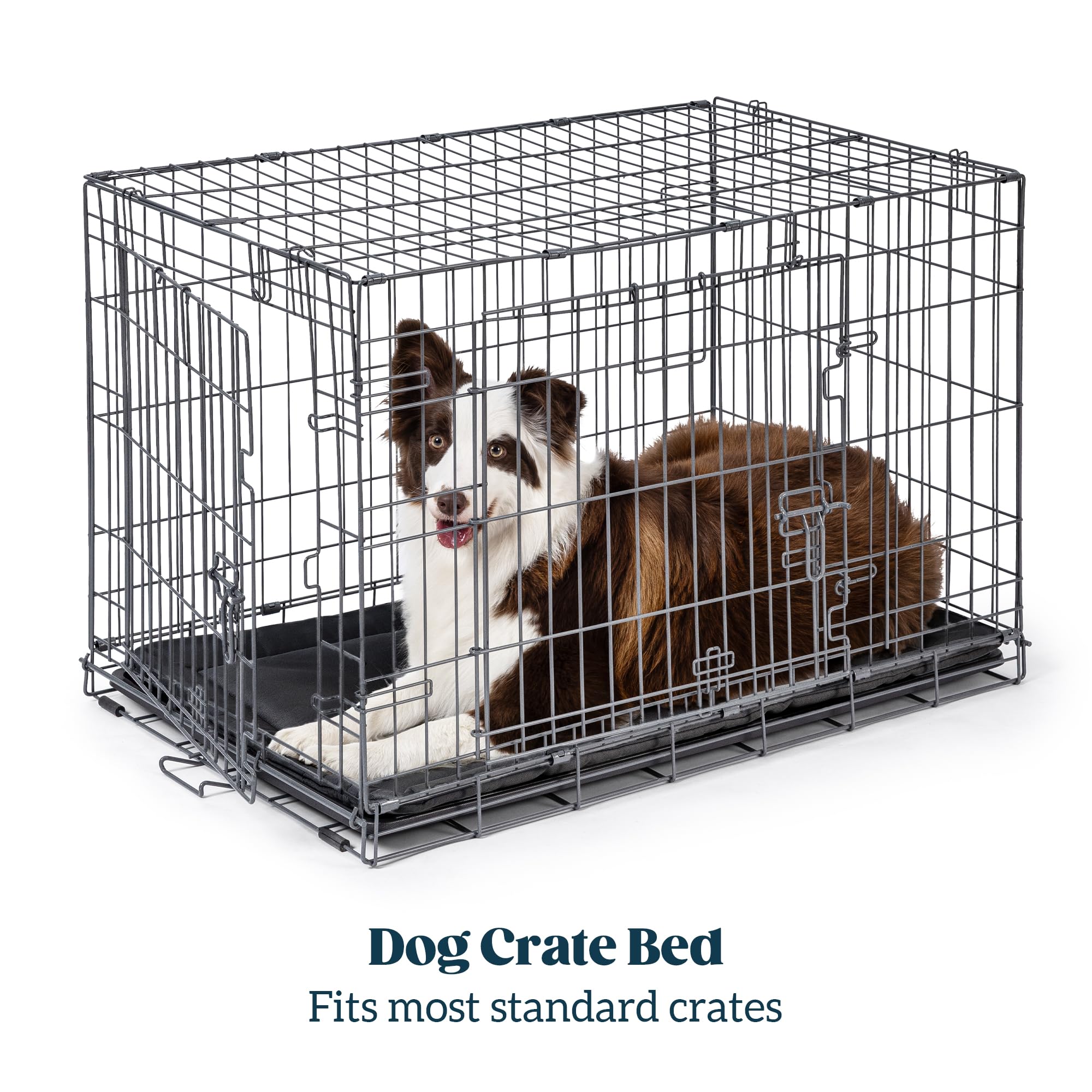 PELZIN machine-washable dog bed in washing cycle for easy cleaning.