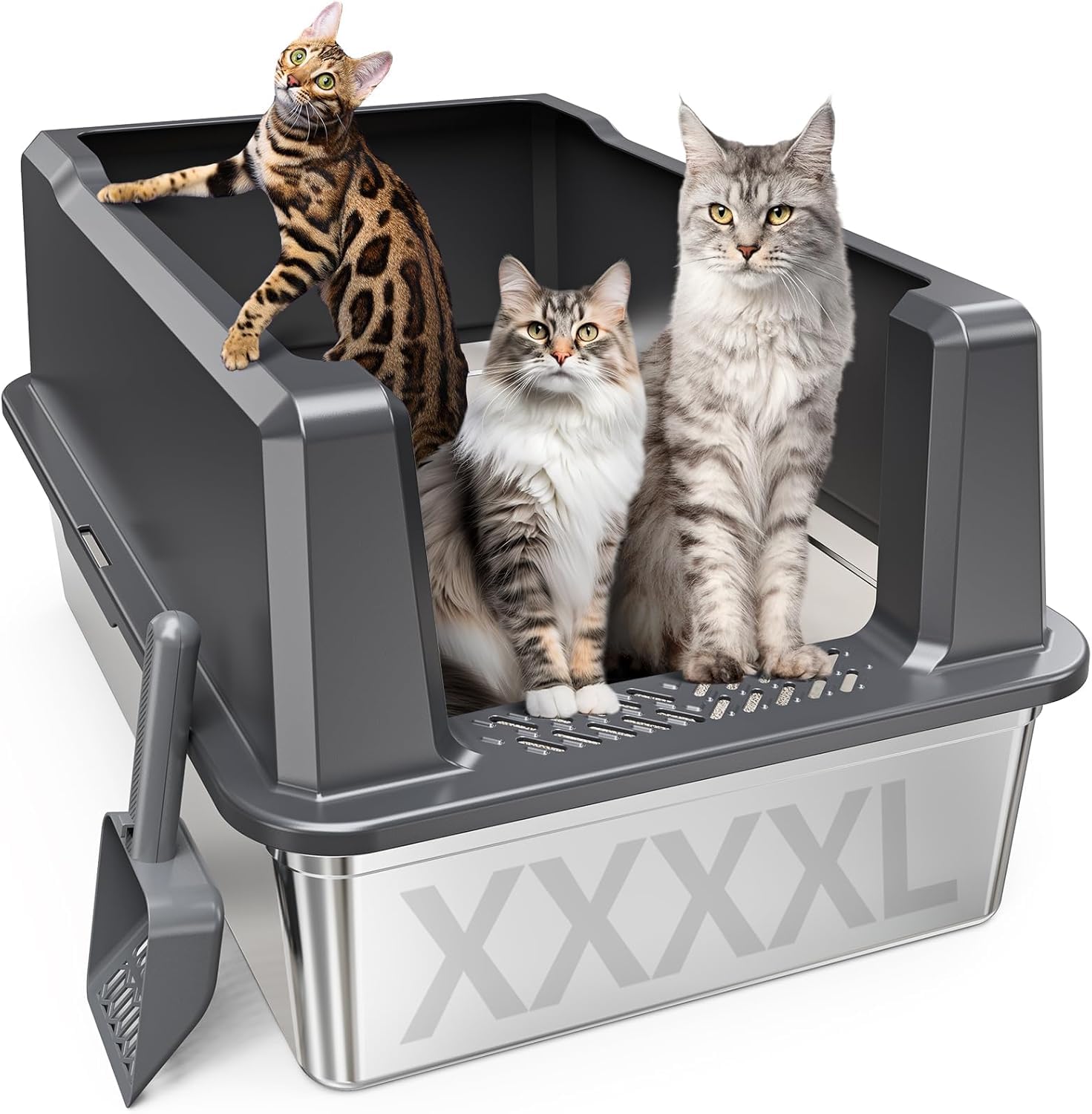 Pematar XXXL stainless steel litter box top view shows ample space for multiple cats.