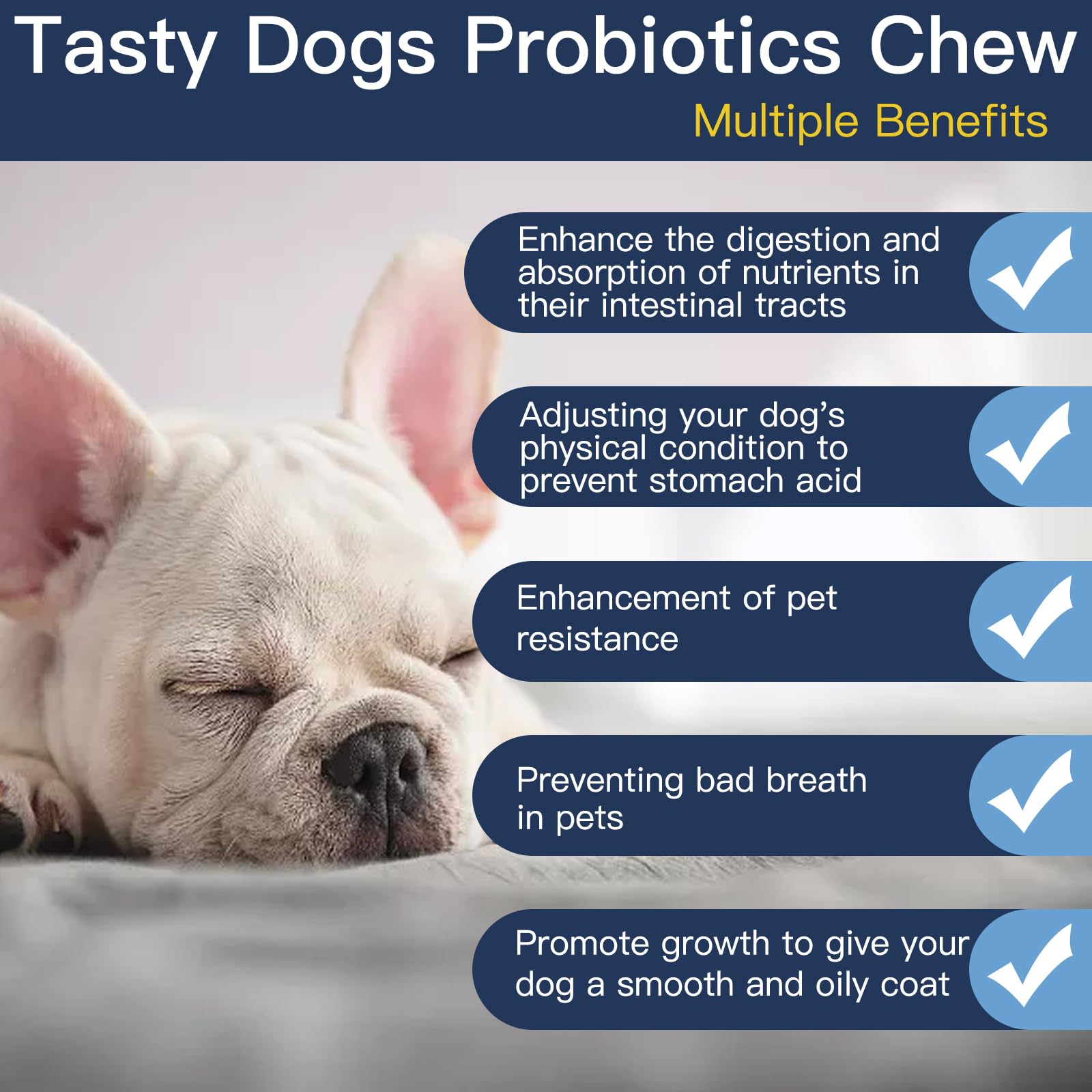 Penkyer Probiotics for Dogs bottle seal shows potency and shelf-stability.