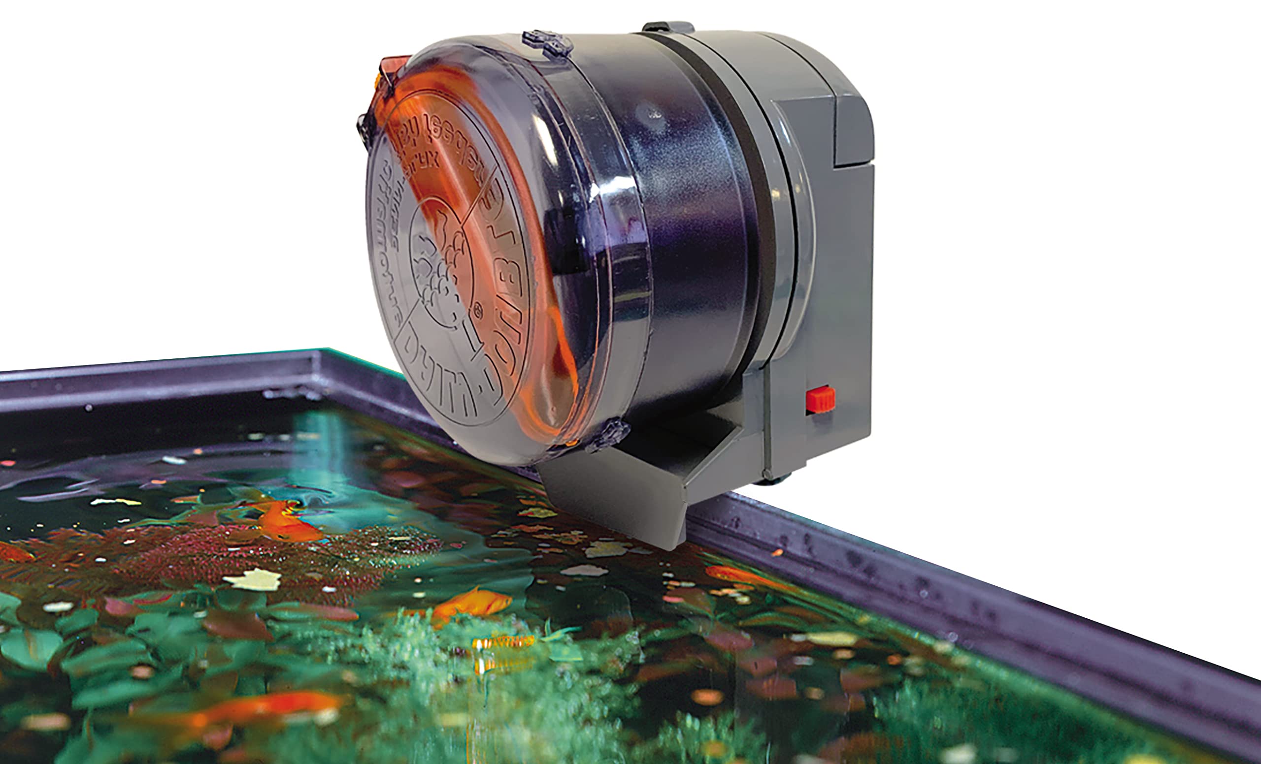 Penn-Plax Daily-Double feeder shows built-in on/off switch for precise feeding intervals