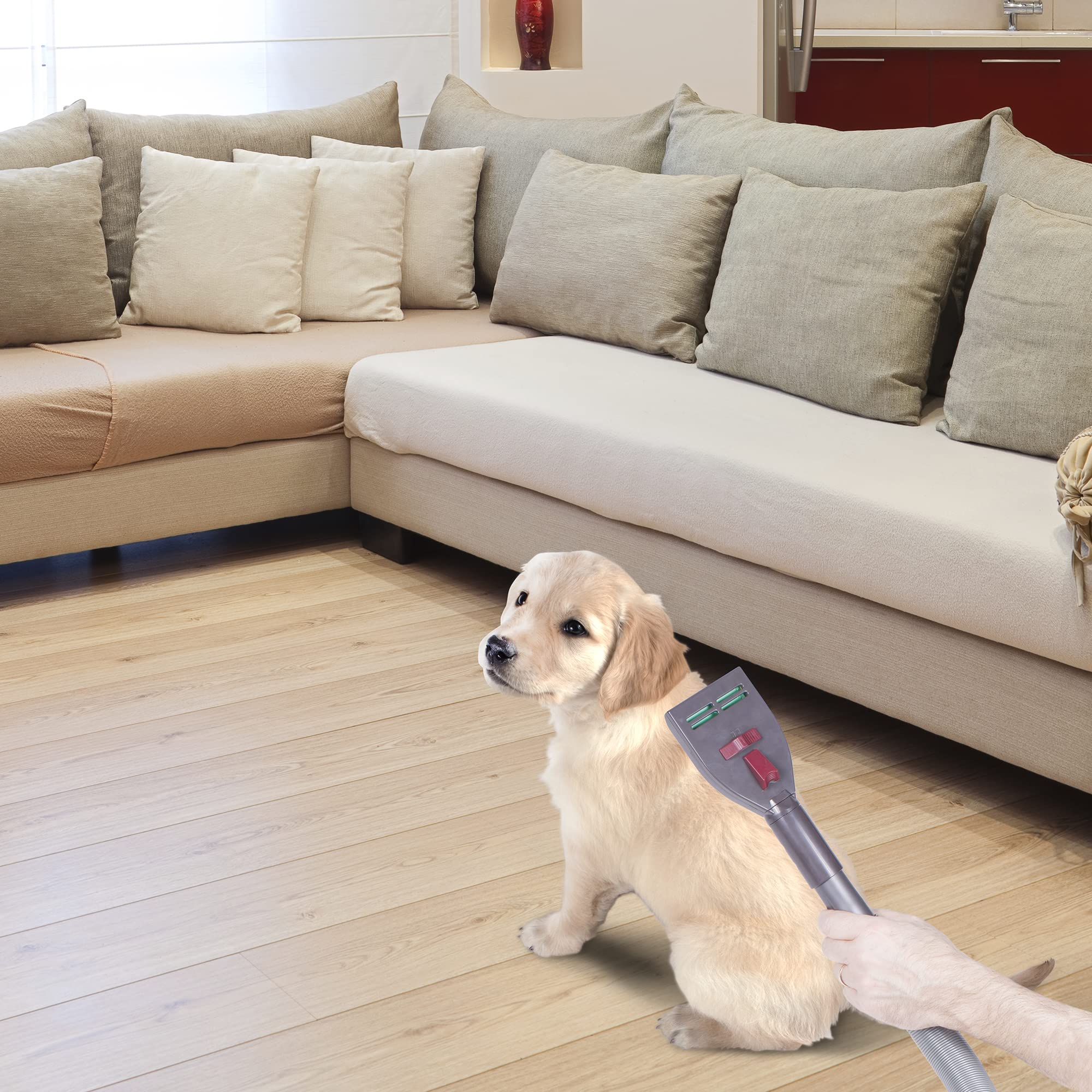 Penn-Plax VacGroom upholstery cleaning helps keep sofas and cushions tidy