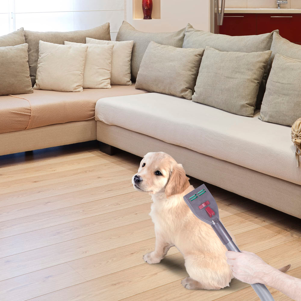 Penn-Plax VacGroom upholstery cleaning helps keep sofas and cushions tidy