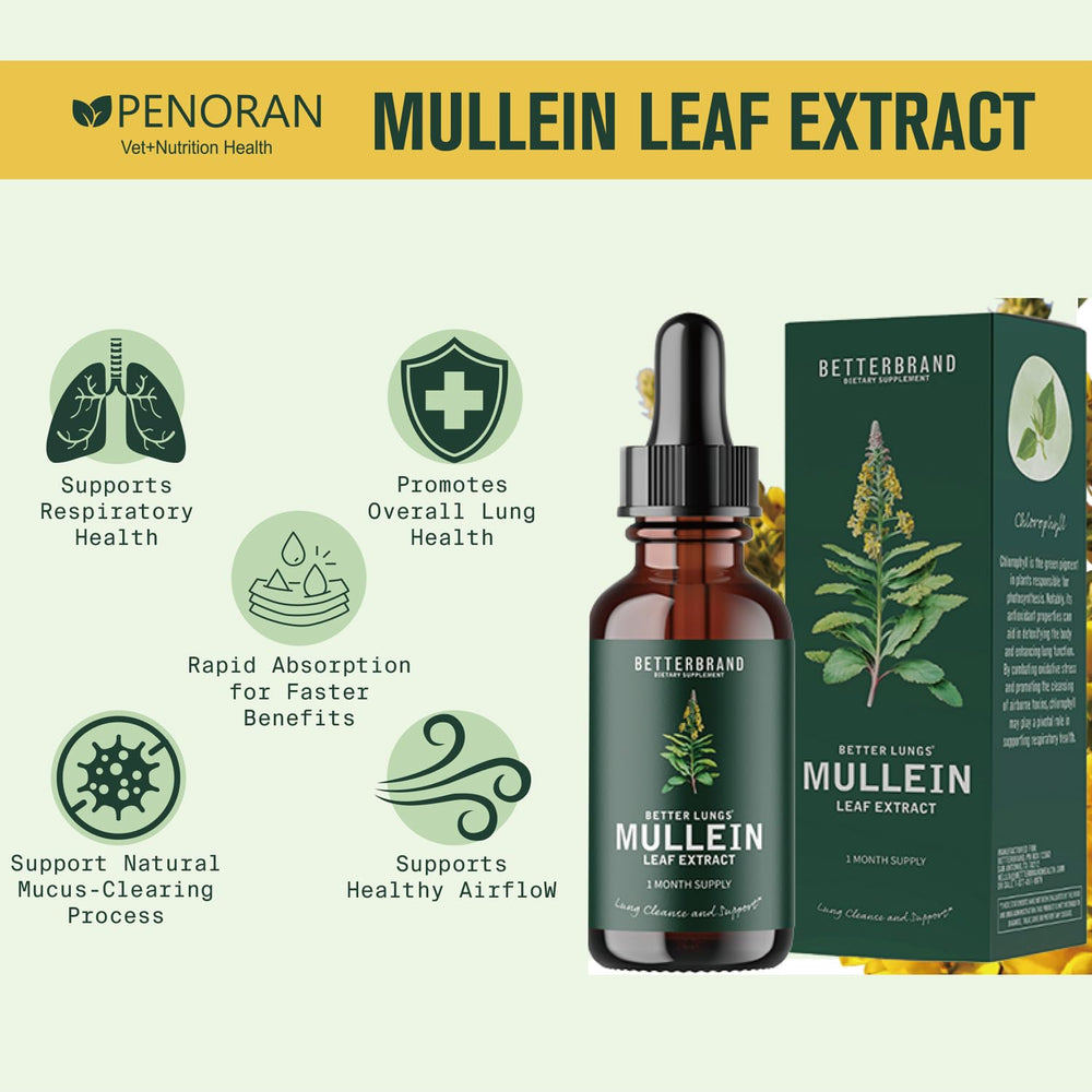 Penoran Pet Mullein Drops used with dog for lung health support.