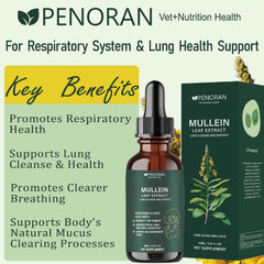 Penoran Pet Mullein Drops dropper dosing showing precise measurement.