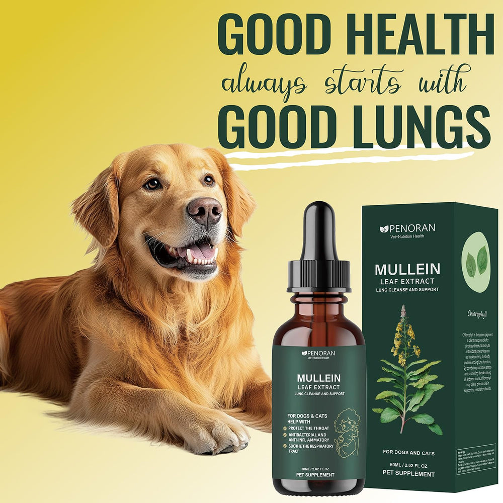 Penoran Pet Mullein Drops easy-dosing with food or water.