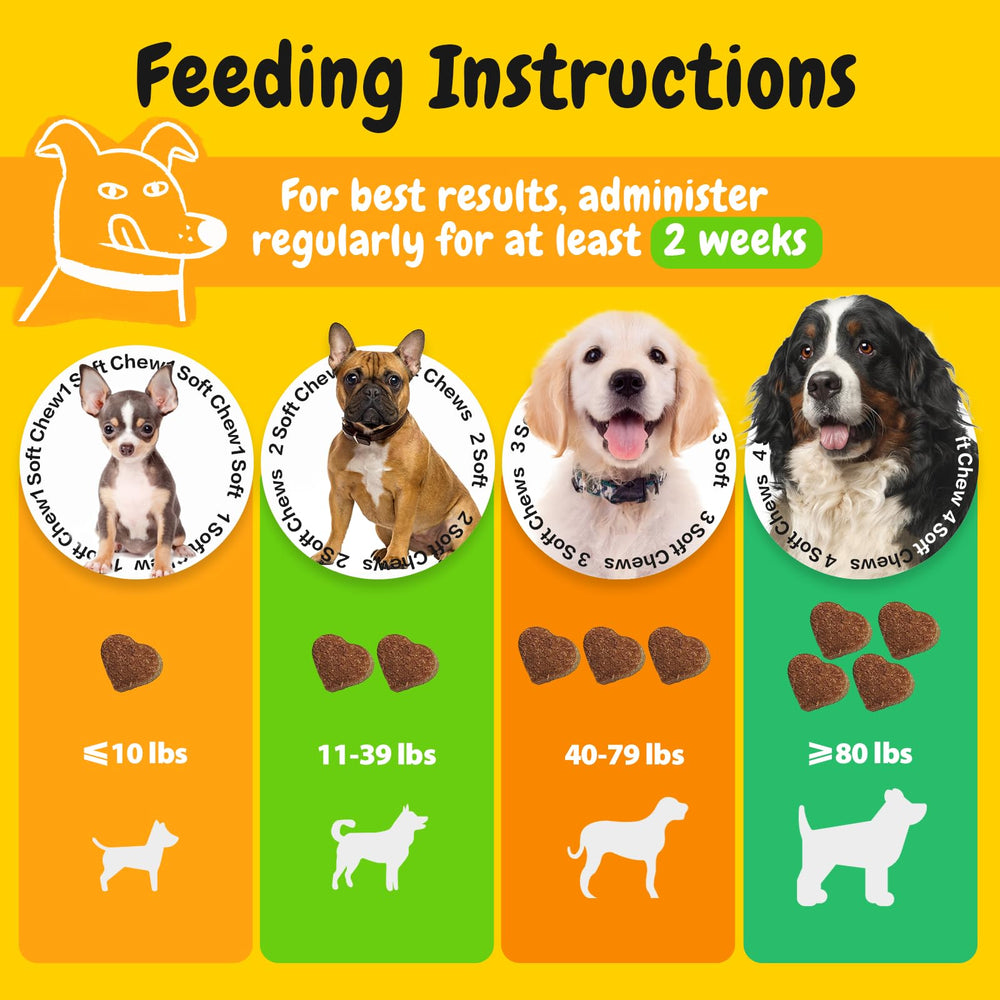 PENPEN Probiotics for Dogs high-potency bottle image for daily support.