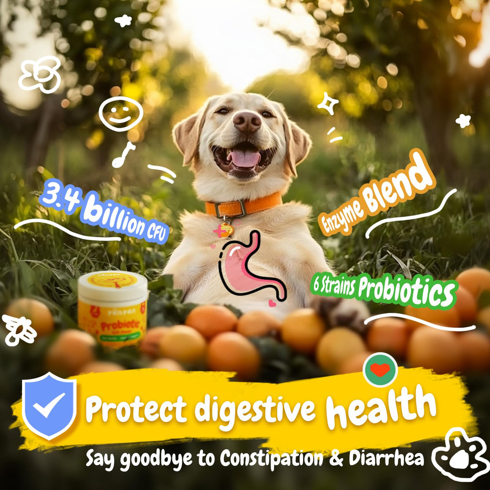 PENPEN Probiotics for Dogs soft chew close-up for easy feeding.