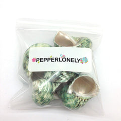 PEPPERLONELY polished green turbo shells for shellcraft projects and wreaths