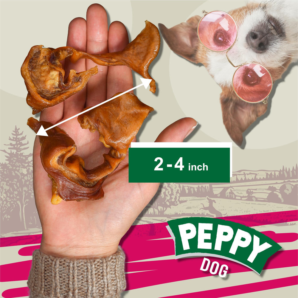 Peppy Dog digestible pig ears closeup highlights tender texture for easy digestion.