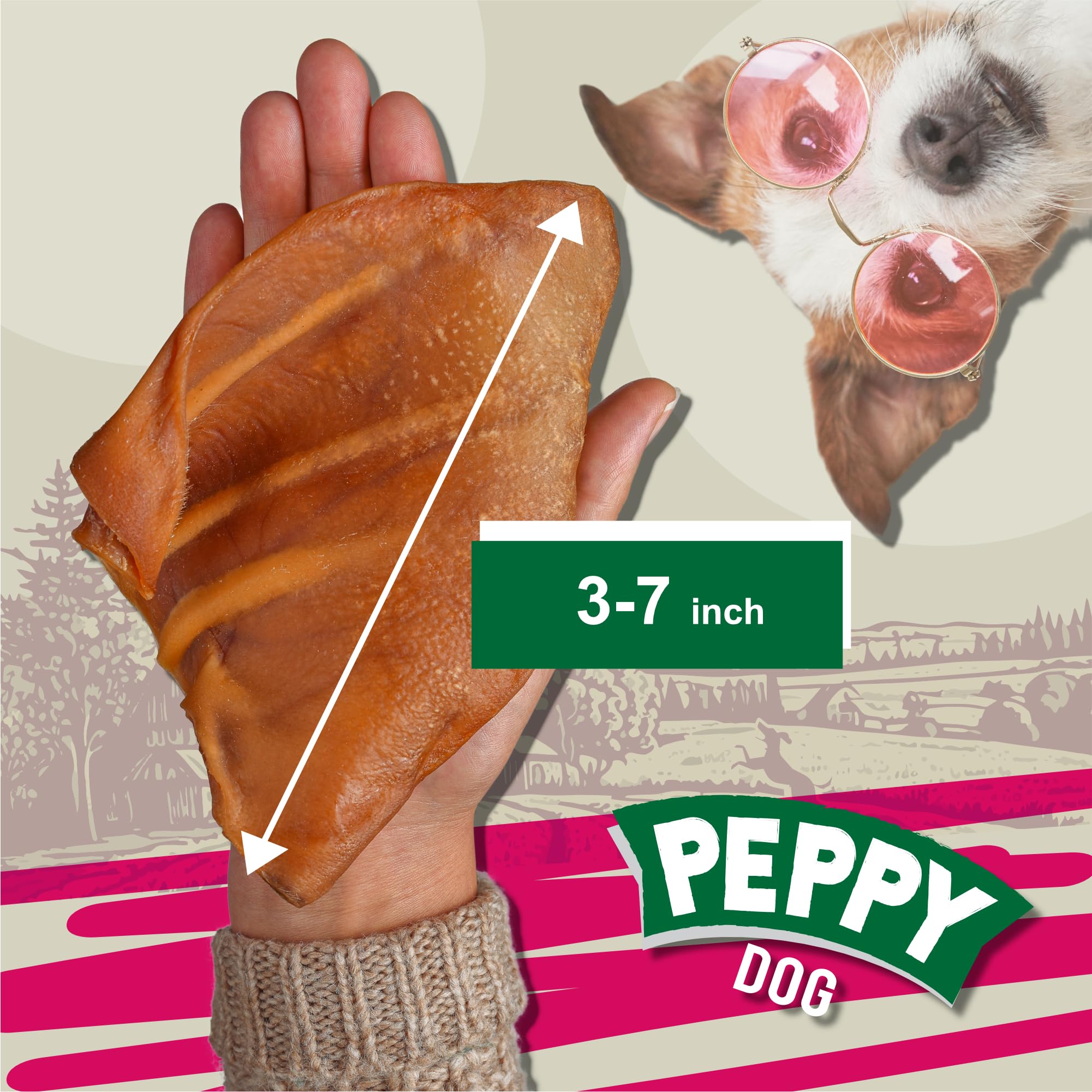 Peppy Dog half pig ears chew texture closeup: high-protein dog treat