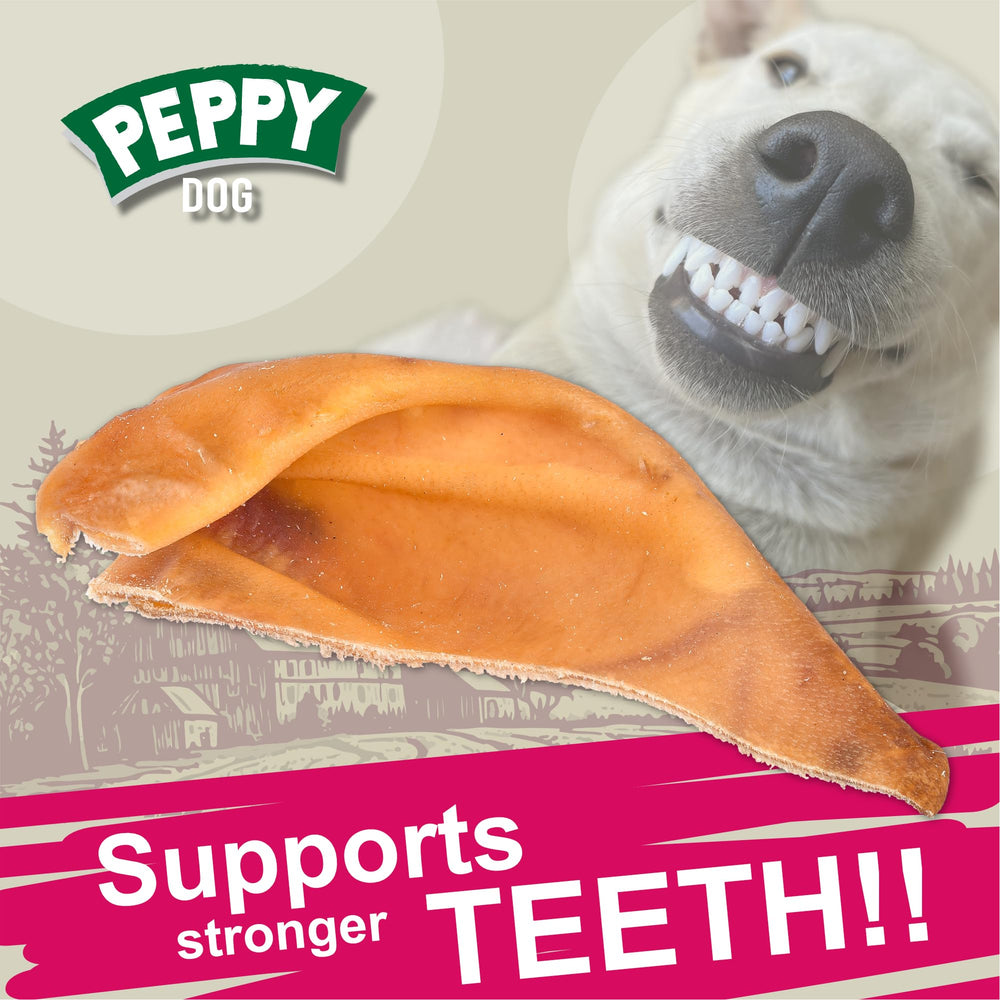 PEPPY DOG Healthy Half Pig Ears bag and label scene communicates simple, single-ingredient snack