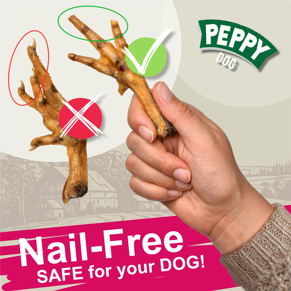 PEPPY DOG small-to-medium-dog friendly size makes handling easy for pets.