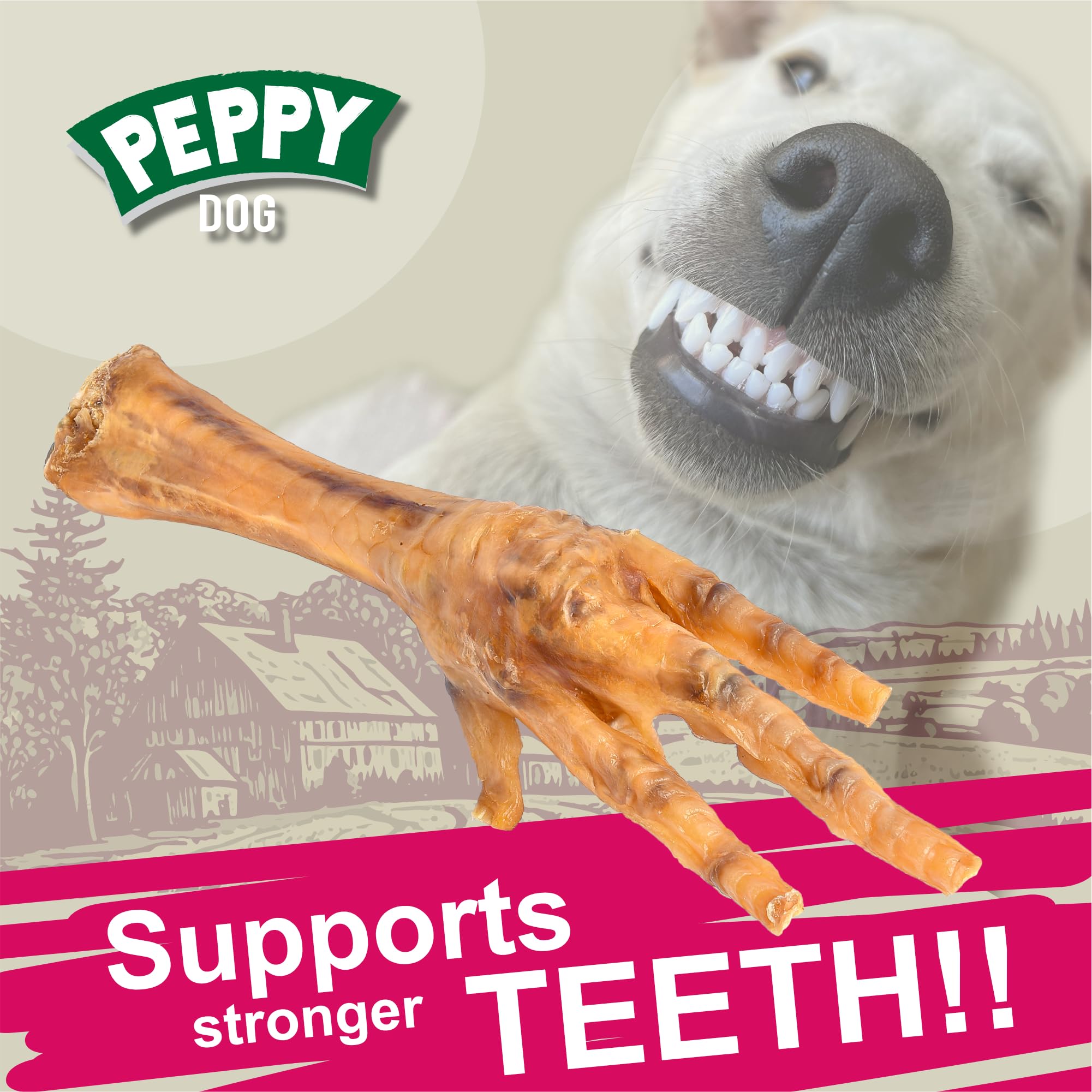 Peppy Dog dog chewing chicken feet demonstrates small and medium dog suitability