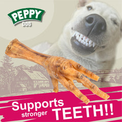 Peppy Dog dog chewing chicken feet demonstrates small and medium dog suitability